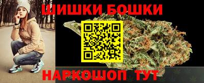 СК Боровичи