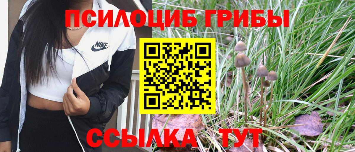 Галлюциногенные грибы Magic Shrooms  Вход с VPN  Миллерово  Галлюциногенные грибы прущие грибы 