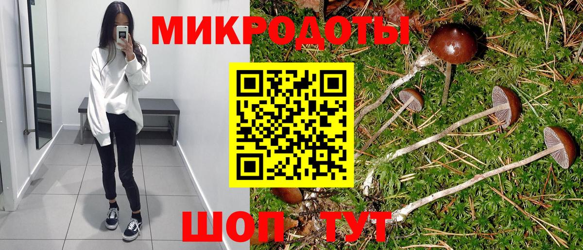 Псилоцибиновые грибы Psilocybine cubensis Миллерово