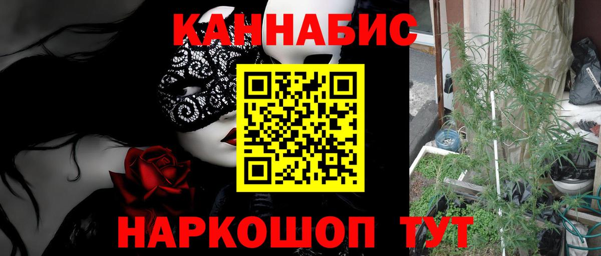Миллерово  Бошки марихуана марихуана  Шишки марихуана семена  Вход с VPN  Каннабис Ganja 